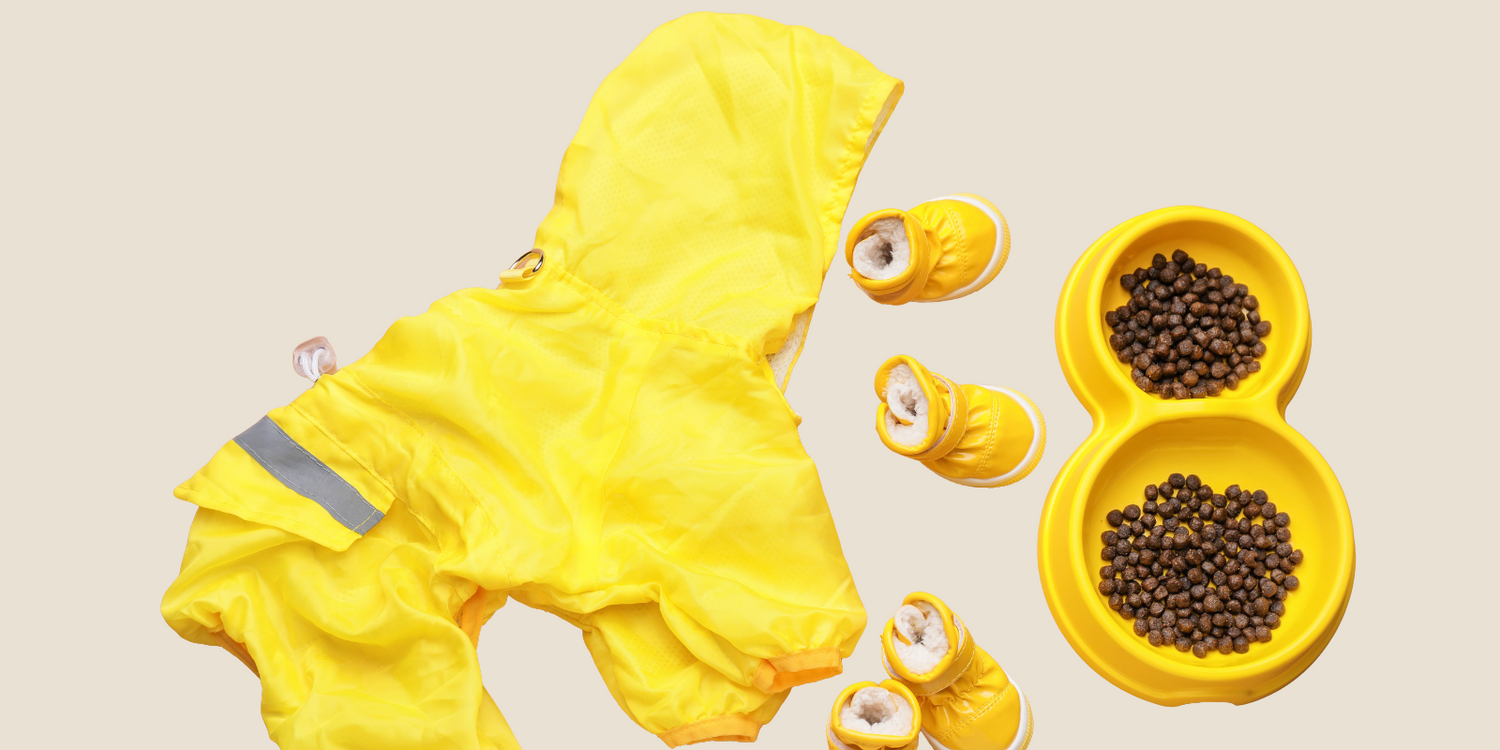Pet Apparel & Accessories
