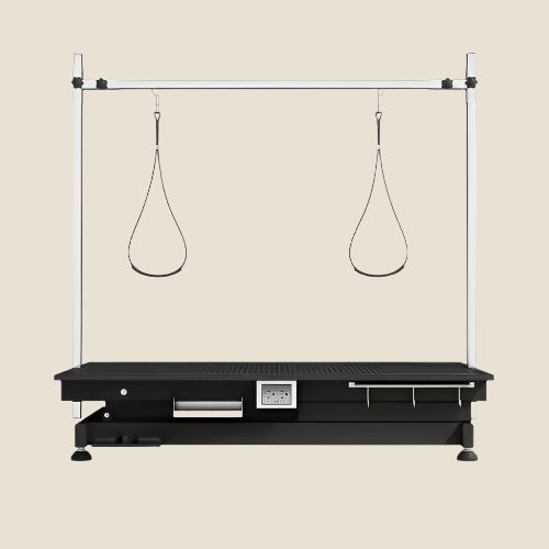 Electric Pet Grooming Table