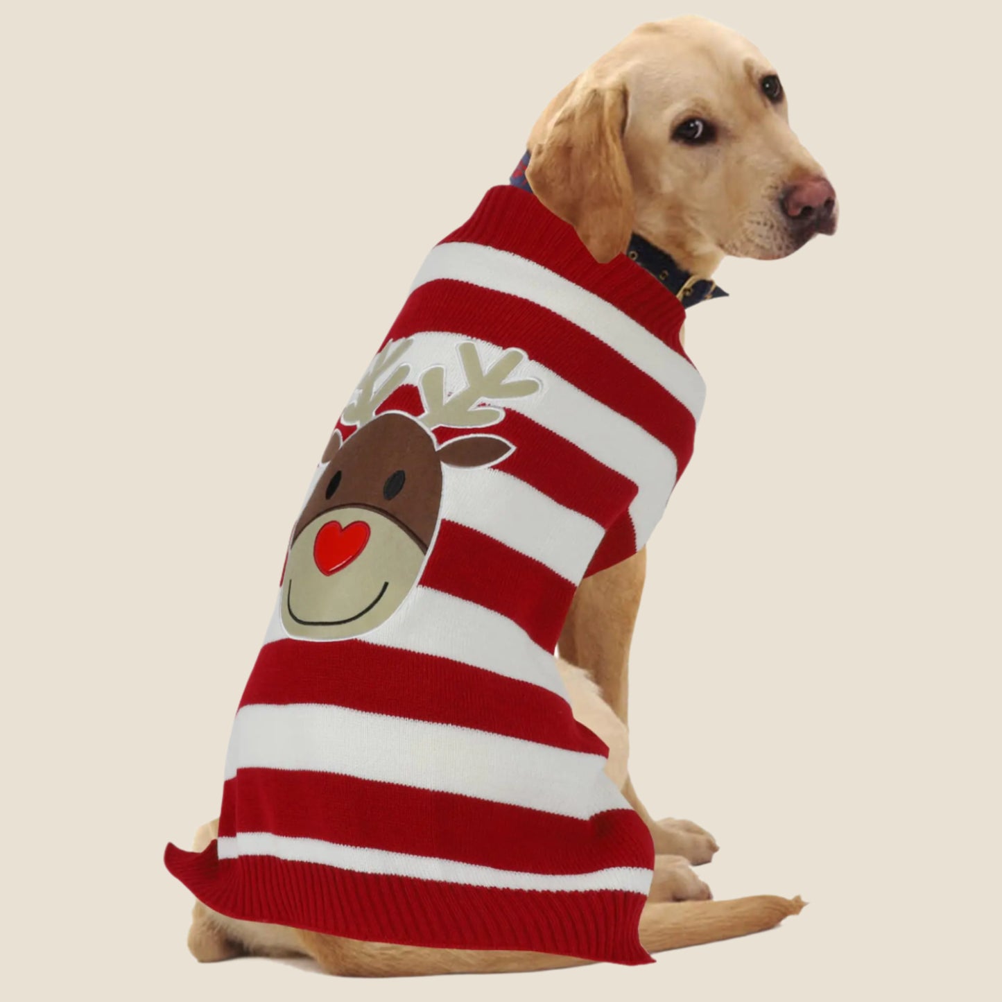 Santa Paws Large Dog Sweater - Christmas Elk