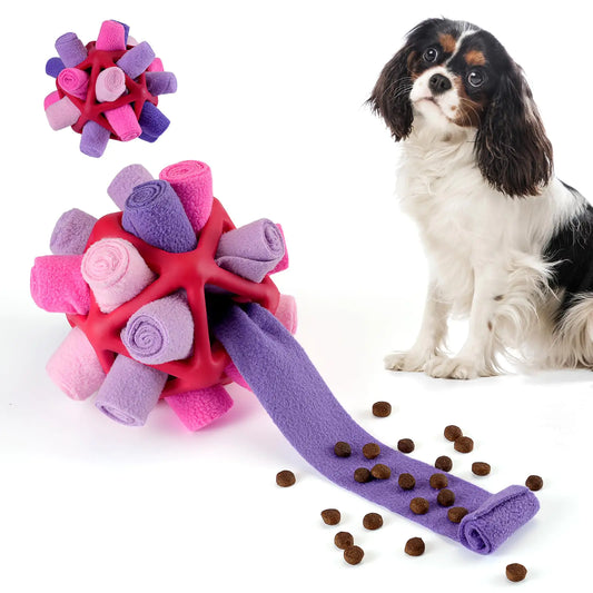 Snuffle Magic Foraging Ball for Dogs (Fantasy Purple)