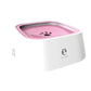 Pet Water and Food Bowl