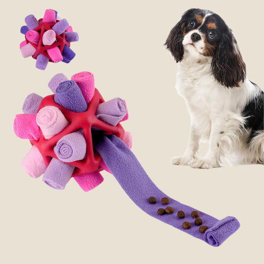 Snuffle Magic Foraging Ball for Dogs (Fantasy Purple)